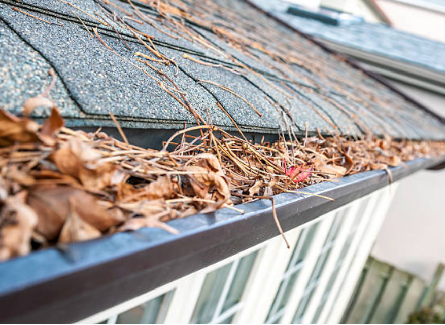 Screenshot 2023 07 27 gutter maintance stock photo Google Search